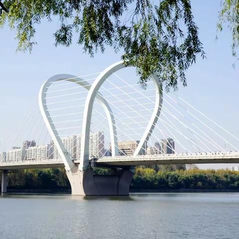 浑河岸边赏金秋（2022.10.19）