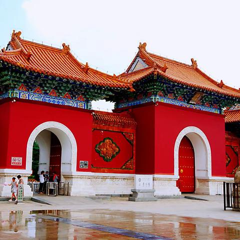 夏日逛北陵公园赏花（2022.07.09）