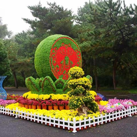 雨中到北陵公园赏花（2022.10.03）