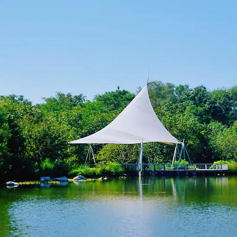 2022年夏季的沈阳植物园（2022.08.17）