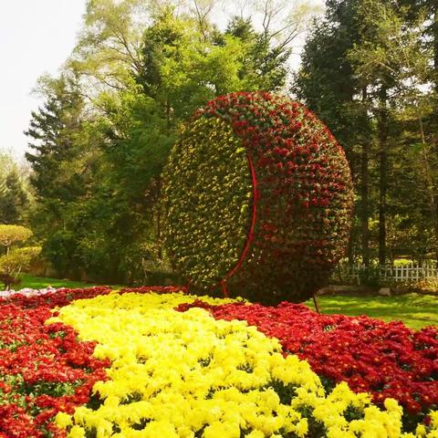 再到世博园赏菊（2022.09.29）