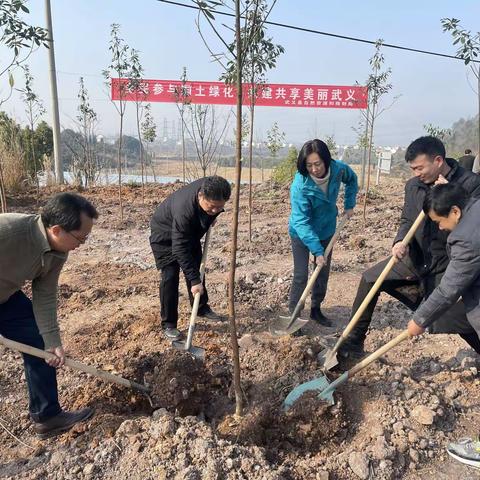 元旦上班第一天  义务植树种助创森