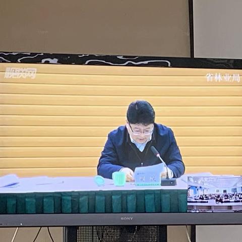 全省新增百万亩国土绿化行动和松材线虫病防治电视电话会议在我局召开