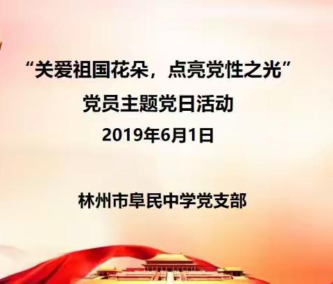 “关爱祖国花朵，点亮党性之光”——林州市阜民中学党支部主题党日活动纪实