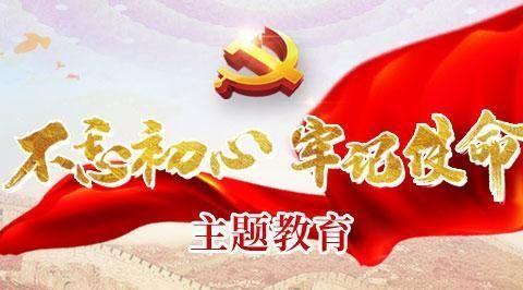 学习谷公践初心，不负时代担使命——林州市阜民中学“不忘初心、牢记使命”主题教育实践活动