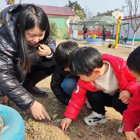 【春已至•万物生】——小二班寻找春天活动纪实