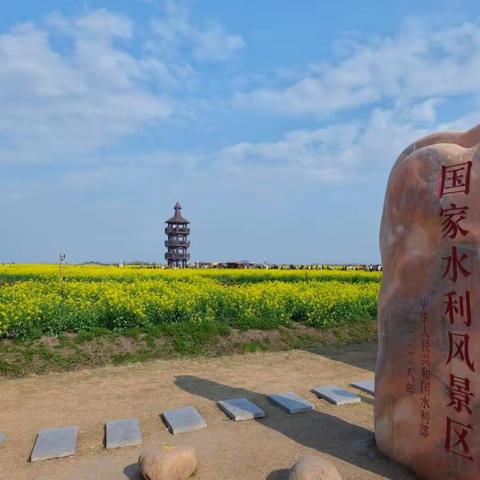 图说江苏水利～兴化垛田、高邮湖上花海采风记