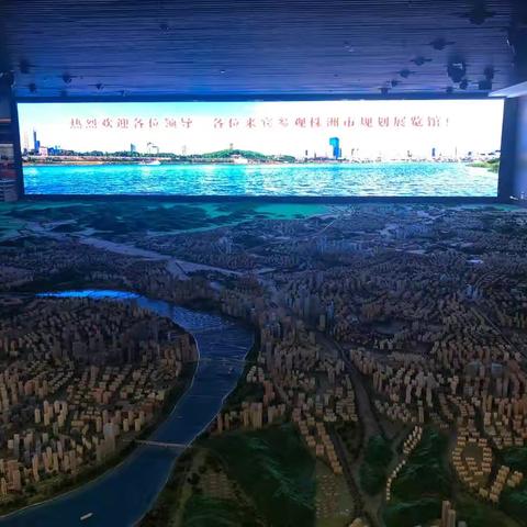 “爱我株洲，献计株洲，争做‘一谷三区’建设先锋”———芦淞区早禾坪小学党支部五月份主题党日活动