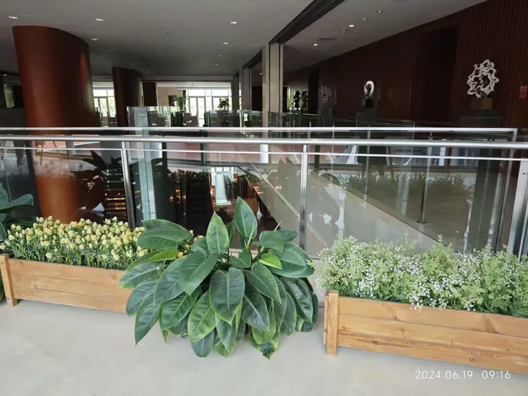 由中粮集团于2008年创建