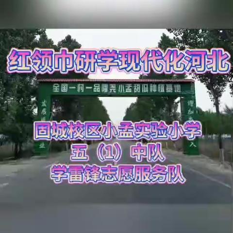 红领巾研学现代化河北——“瓜果飘香，体验丰收”研学之旅