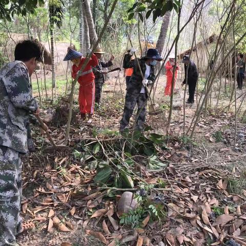 白查船型屋环境卫生整治及修缮