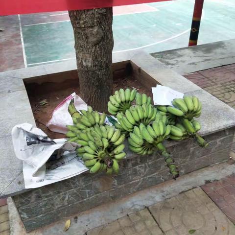 消费扶贫 俄查村开展助力脱贫攻坚活动