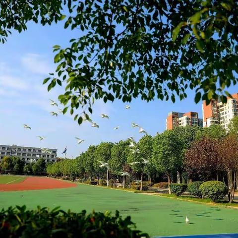 重塑习惯，重新出发