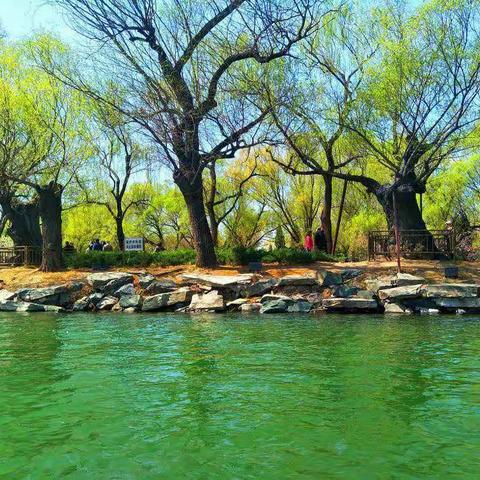 ξ离落δ独醉、的美篇