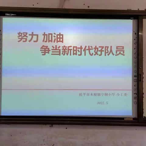 宁垌小学“红领巾心向党 争做新时代好队员”队前主题教育活动