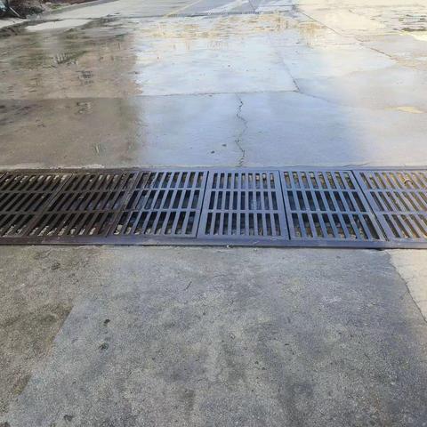 开展爱国卫生月日活动掠影（一）