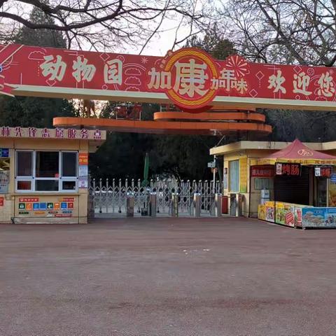 玉兔呈祥  喜迎新年                               中山公园氛围营造年味浓