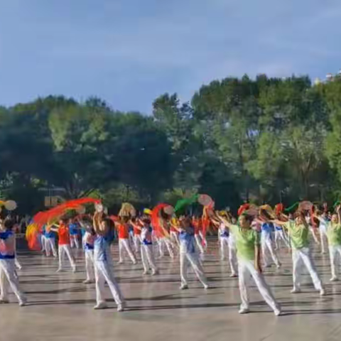 “喜迎二十大       建功新时代”柔力球展演活动在银川市中山公园举办