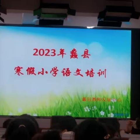 所见+所想，助力小学语文作文教学——2023年蠡县寒假小学语文培训