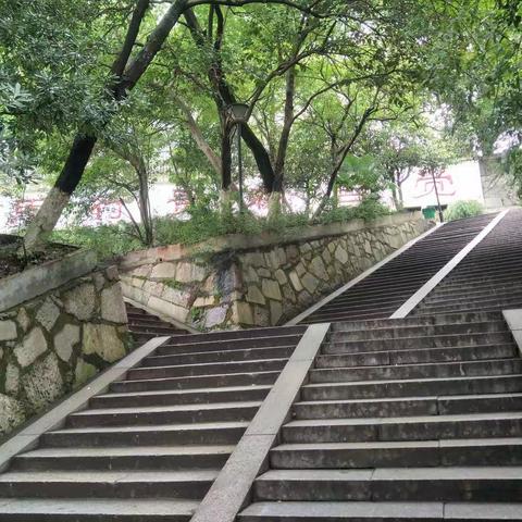 高二十四班――恰同学少年