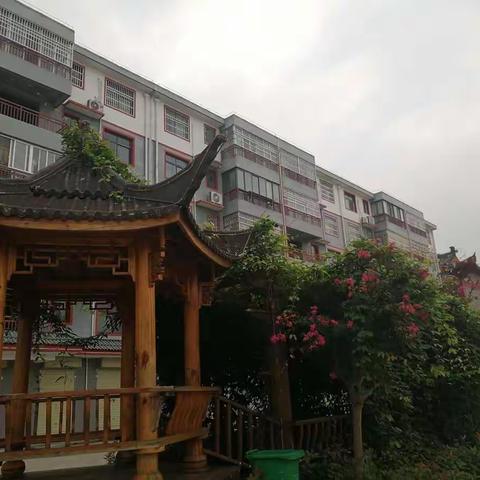 雨后清晨