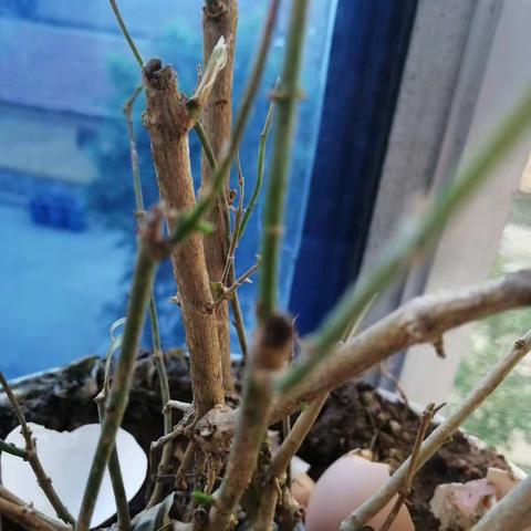 亲爱的，热爱的