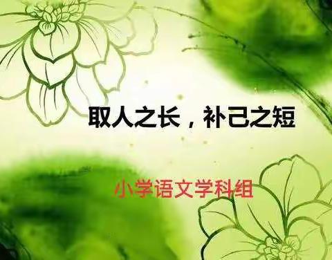 取人之长，补己之短——察布查尔县小学语文学科组教研活动之名师讲座