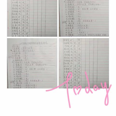 "宝剑锋从磨砺出   梅花香自苦寒来"——嵩阳三小  梁春蕊