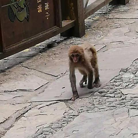 闻喜阳城陵川高平一游