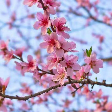 稳扎稳打，夯实过程，齐心协力创佳绩