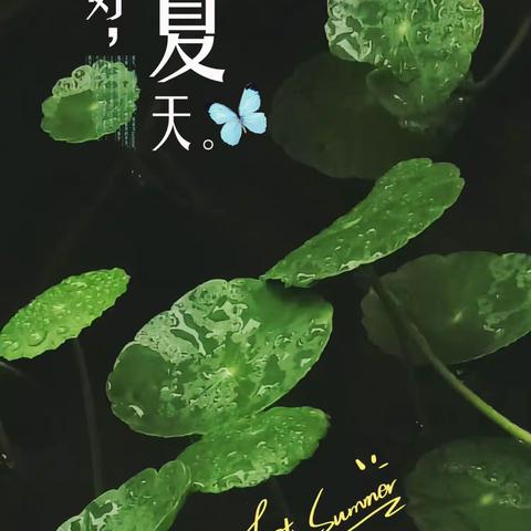 夏天的故事（手机拍摄）