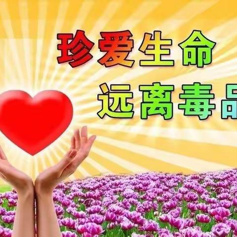 “禁毒知识进校园，争做禁毒小学生” ——中沙小学禁毒专题教育