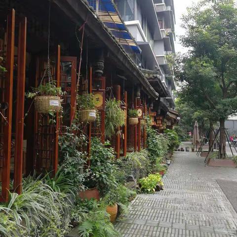 咖啡（蔡）的美篇