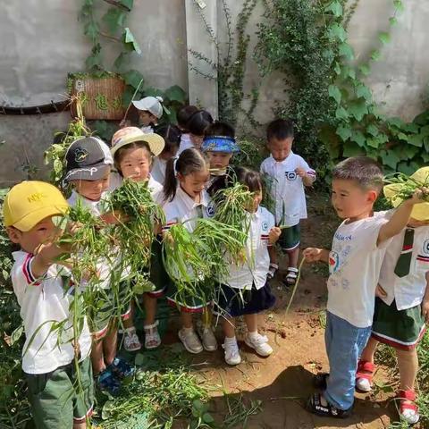 走进种植区，拥抱大自然