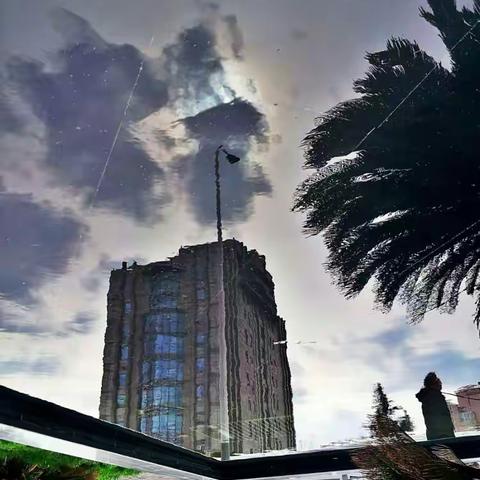 低到尘埃里（为听陈瑞的歌而配图）