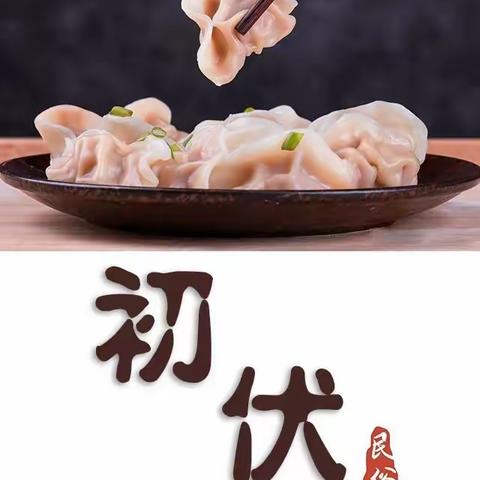 美尚源邀您——头伏吃饺子了👏