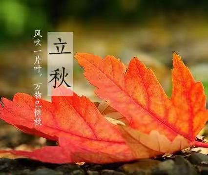 立秋贴秋膘