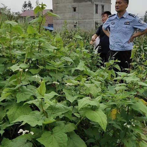 马岭村扶贫点滴一