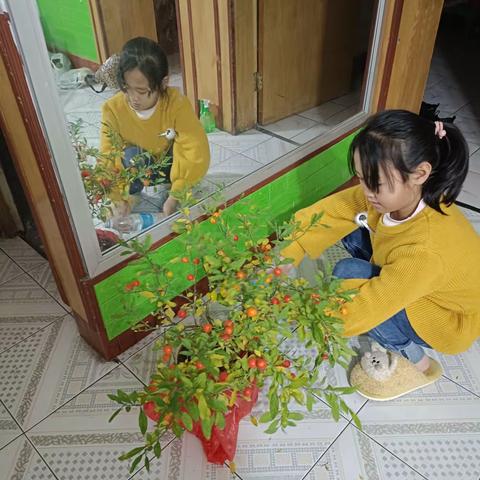 ~乐乐妈咪~的美篇