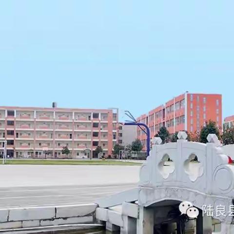 减“负”不减“乐”，“双减”政策下成长，“减”中再“增”效，社团活动中绽放