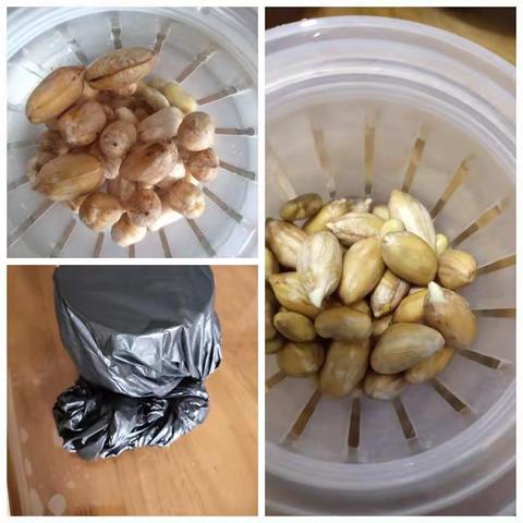 子顺养花生豆子