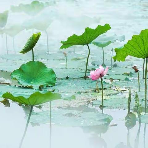 伤害与帮助
