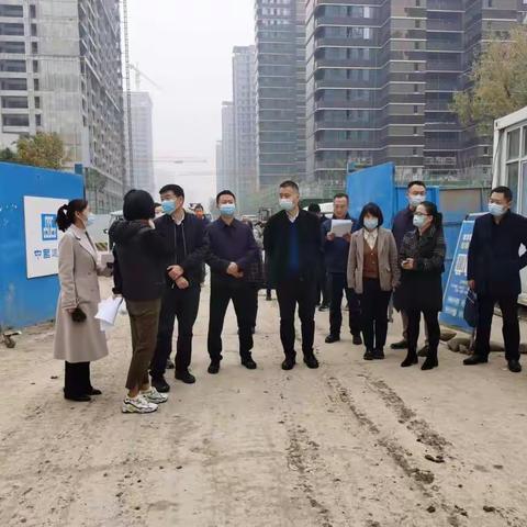 园办开发建设部对辖区项目开展进度核验工作