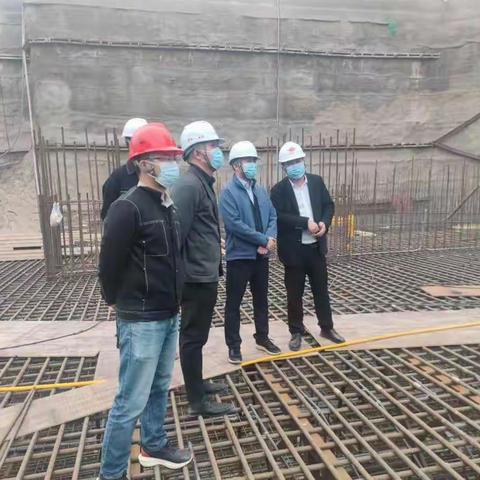 园办开发建设部开展违法建设项目专项检查