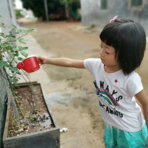 景泰二幼锦翠苑园区中一班暑假假期生活花絮