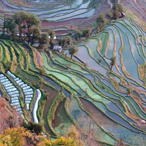 云南之“花 、田”