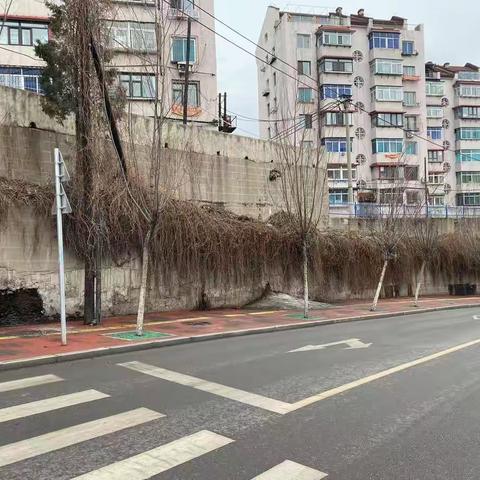 卫生清理“无死角” 环境提升“全方位”