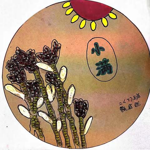 麦穗初齐稚子娇 ——高峰小学道法PBL小满实践活动