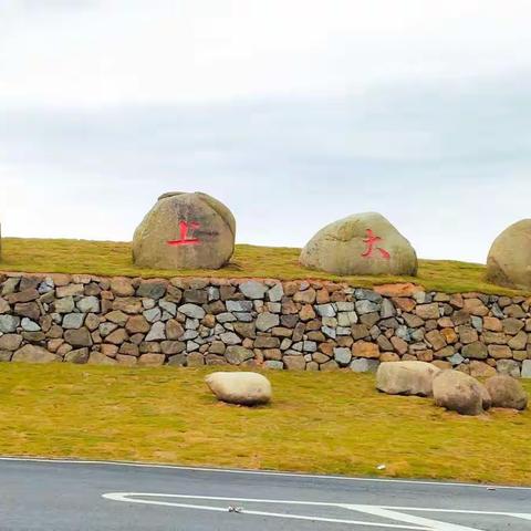 云上大院，互促教学