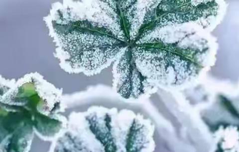 之中一班——朵朵“冰花”，美丽绽放！